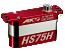 HS75h (0.087 sec/60Â° - 55.55 oz/in @8.4V)